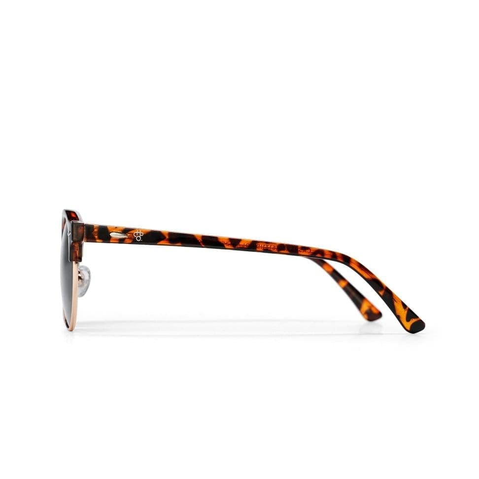 Occhiali CHPO Casper II turtle brown 16131ID - 3