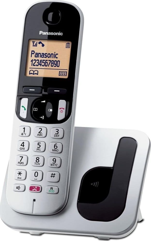 CORDLESS PANASONIC KX-TGC250JTS CON VIVAVOCE SILVER