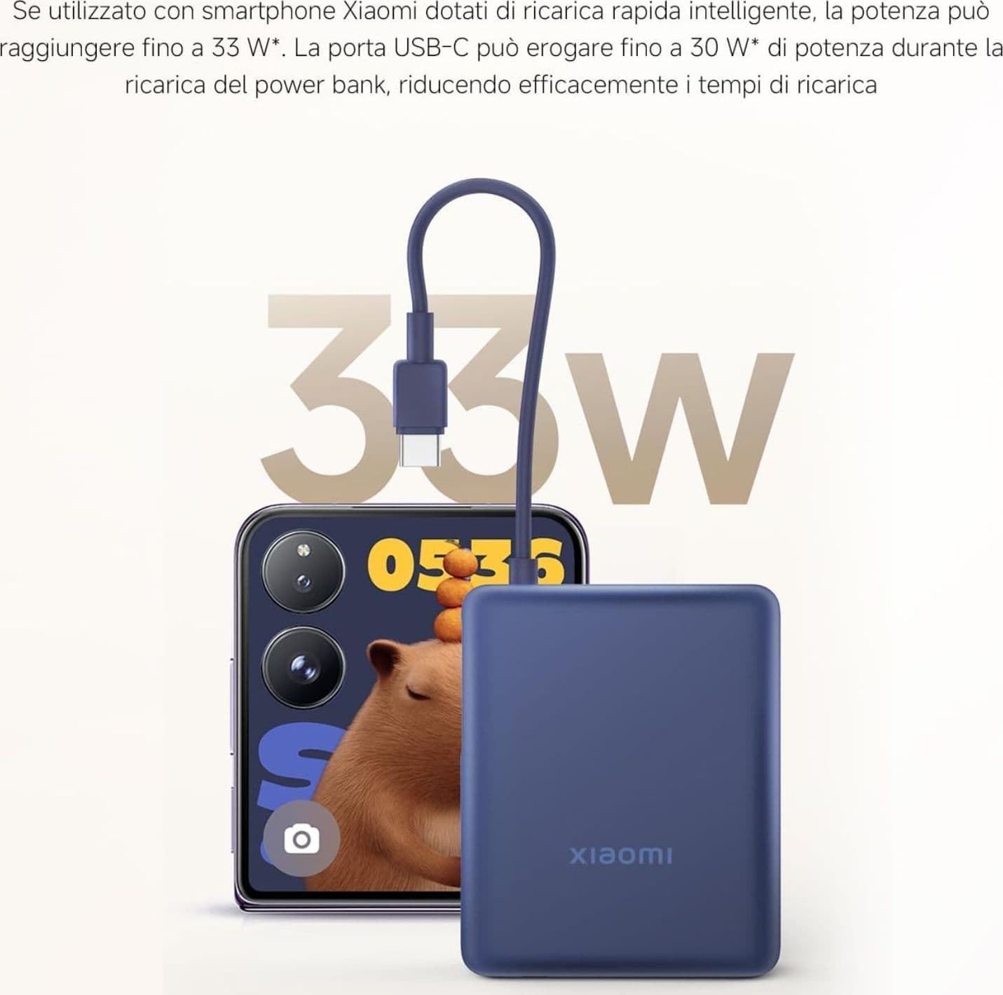 Xiaomi Powerbank 10000MAH 33W Cavo Integrato Usb-c Ice Blue - 3