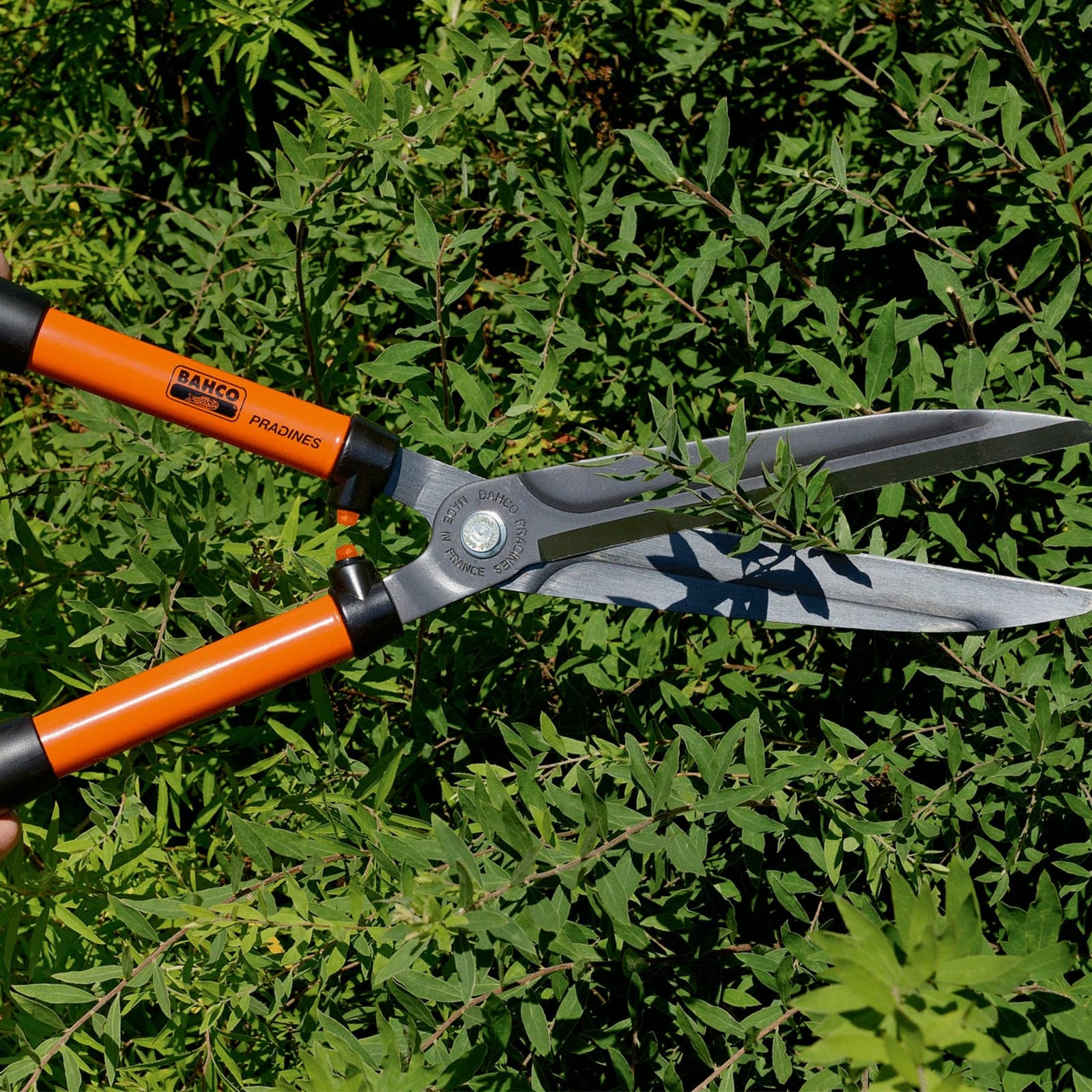 Forbicione professionale per siepe con lama retta manico in alluminio da 58 cm - 2