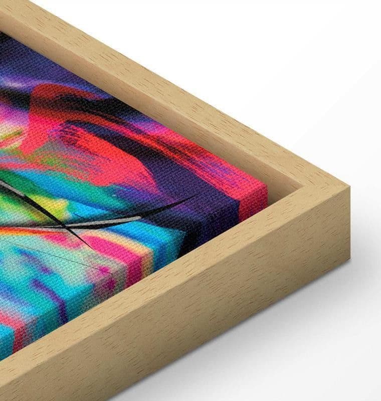 Quadro Danza dell'arcobaleno - 16