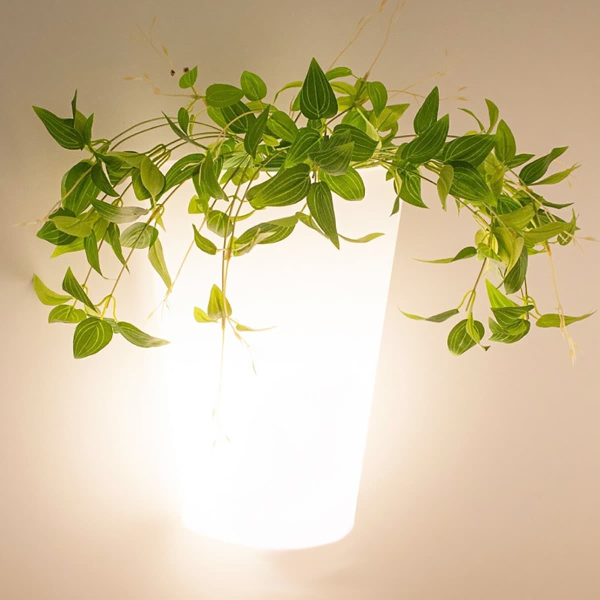 Applique Mantra TEJA 6508 20W LED 3000°K IP54 lampada parete vaso polietilene moderna esterno - 4
