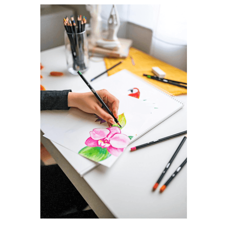 Bic - Intensity Premium Matite Colorate in legno nero conf- 12 Colori brillanti - 3