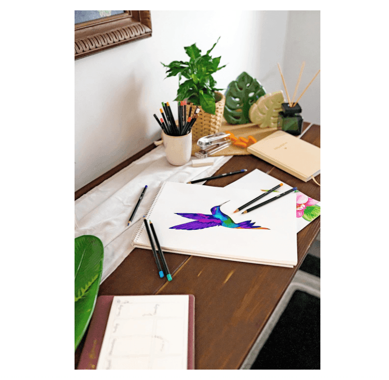 Bic - Intensity Premium Matite Colorate in legno nero conf- 12 Colori brillanti - 4