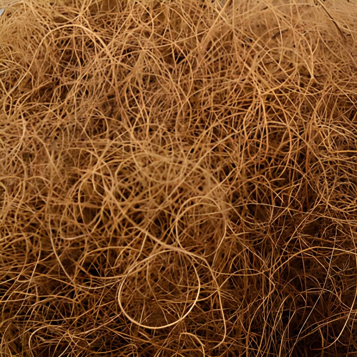 Fibra di cocco decorativa per presepe, cestino e decorazioni fai da te - 4
