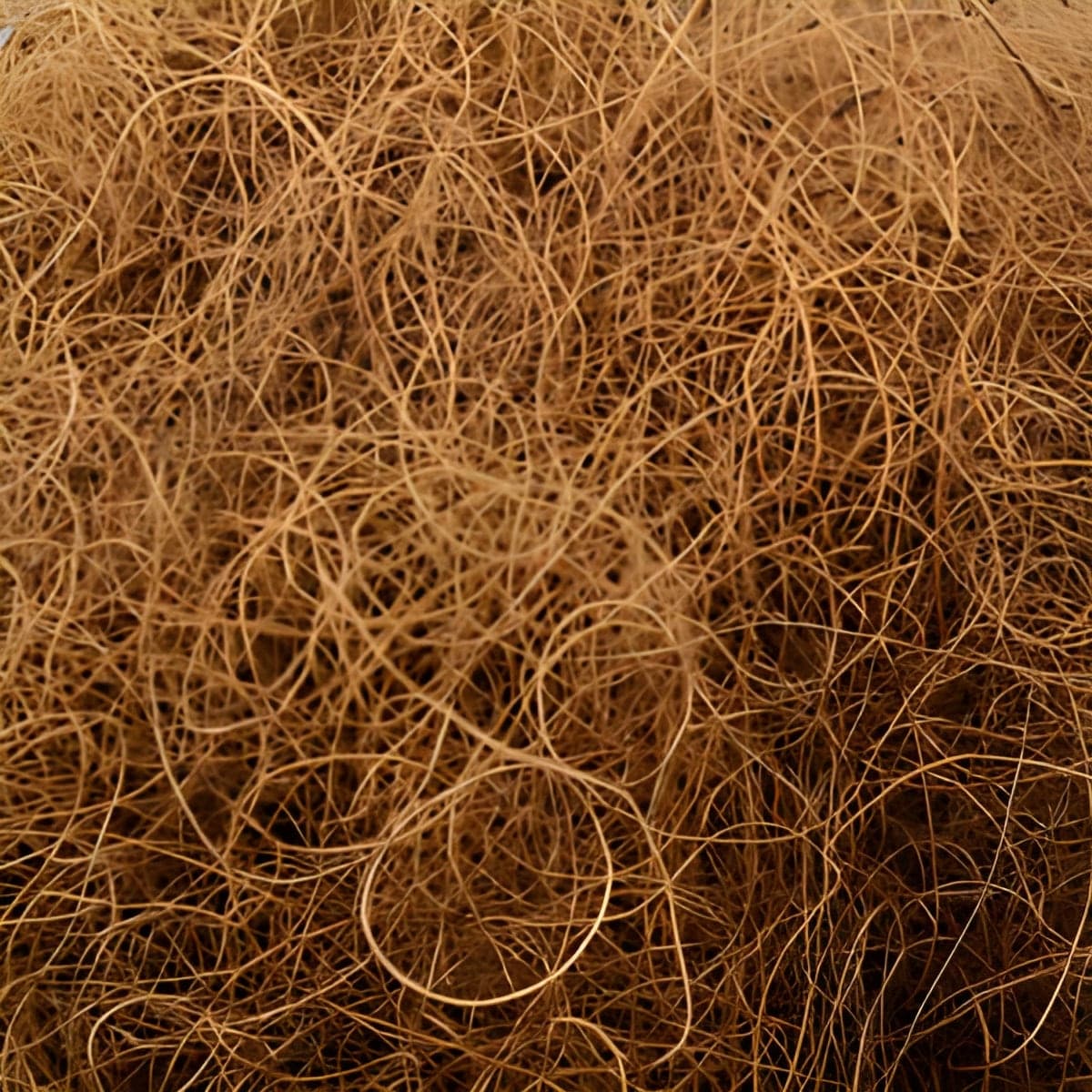 Fibra di cocco decorativa per presepe, cestino e decorazioni fai da te - 2