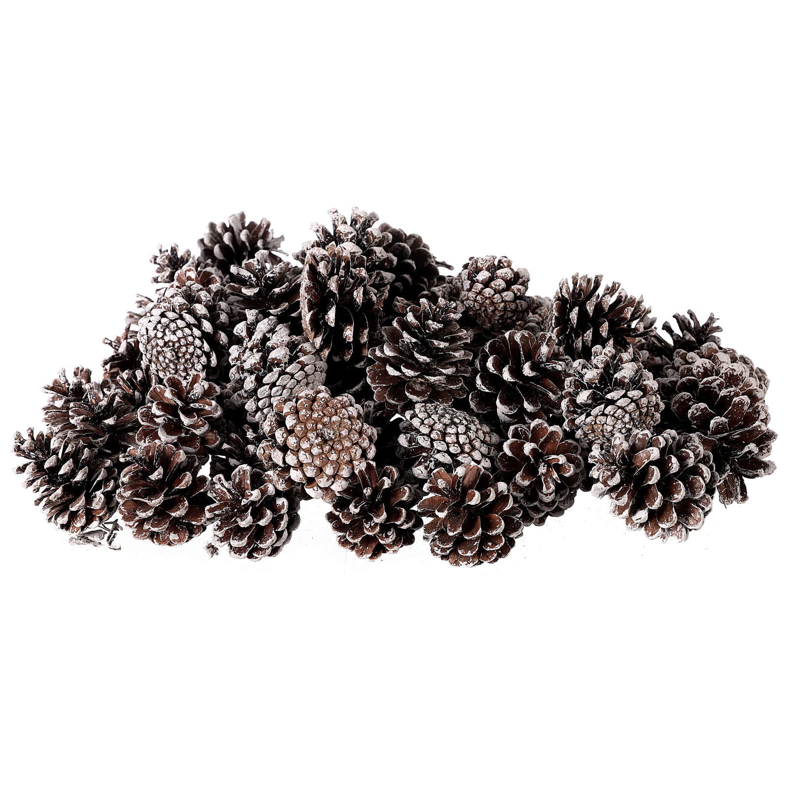 Pigne naturali innevate e stabilizzate da 5\6 cm per decorazioni natalizie 63 pz - 2