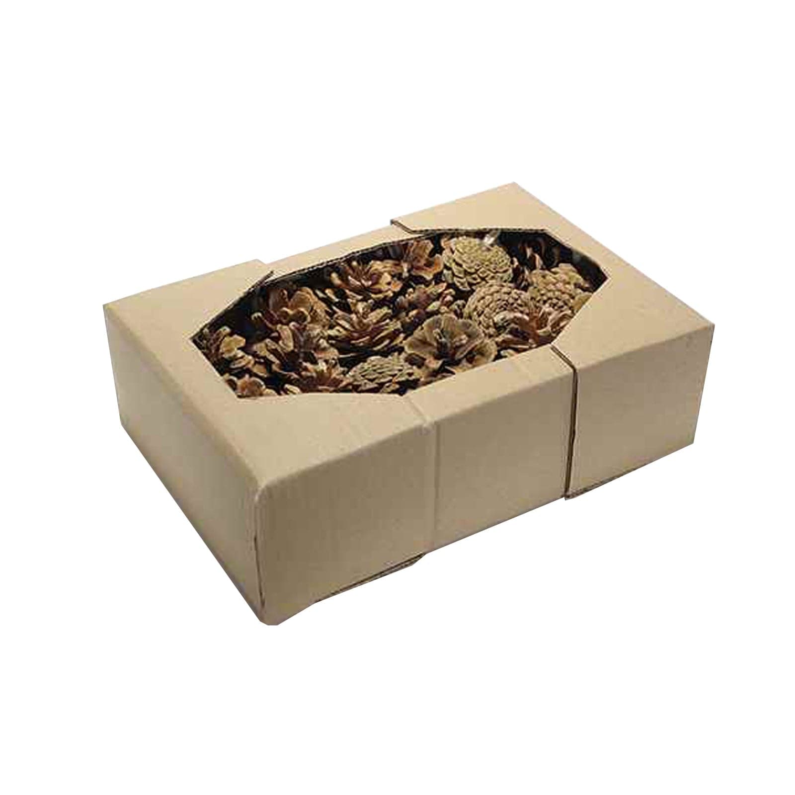 Pigne naturali stabilizzate da 5\6 cm per decorazioni natalizie, in scatola da 63 pz - 3