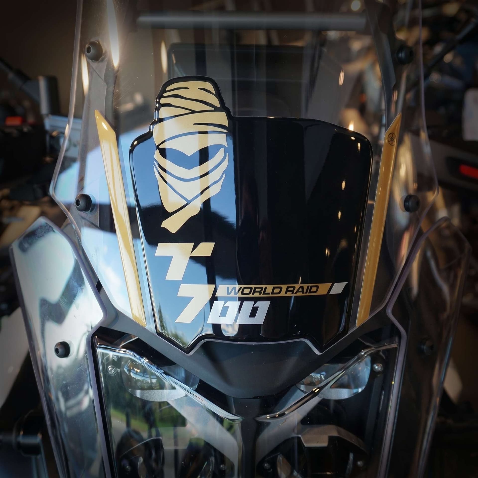 Adesivi 3D Cupolino moto compatibili con Yamaha Tenere 700 World Raid 2026 - 12