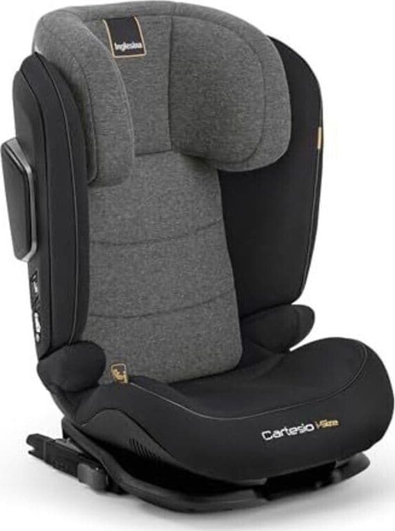 Inglesina - Seggiolino Auto Darwin Next Stage Vulcan Black - 5