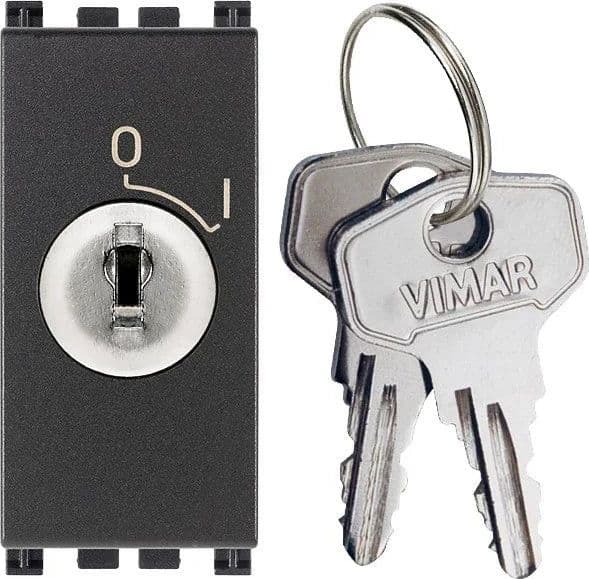 Interruttore VIMAR 2P 16(3)A + Chiave Grigio - Sicurezza e Affidabilità - SKU 19083 - 2
