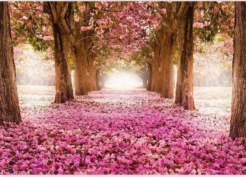 Fotomurale  Boschetto rosa - 5