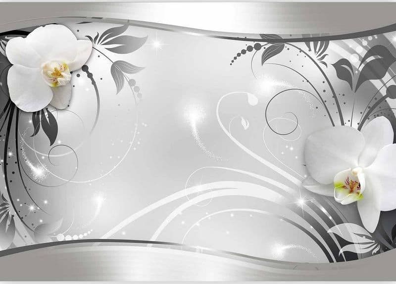 Fotomurale  Silver Abstract - 4