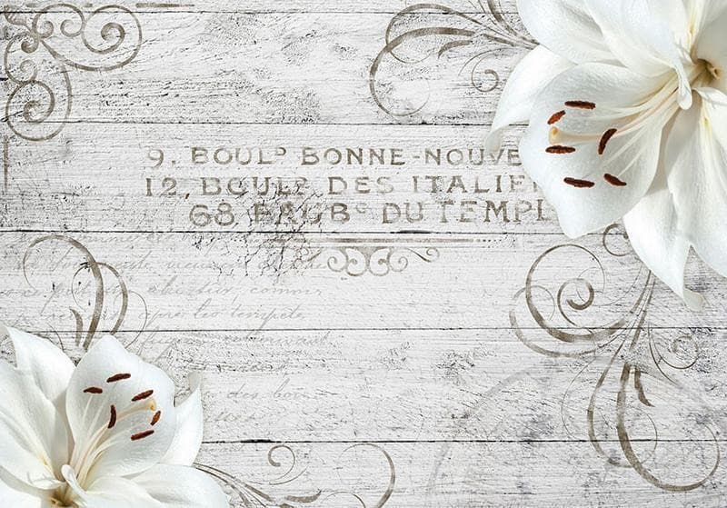 Fotomurale  Bonne Nouvelle - 6