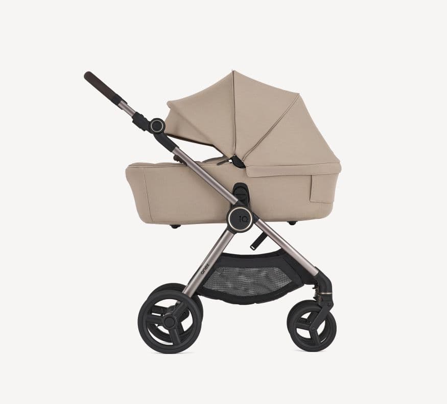 Passeggino 2 in 1 Anex IQ - 2