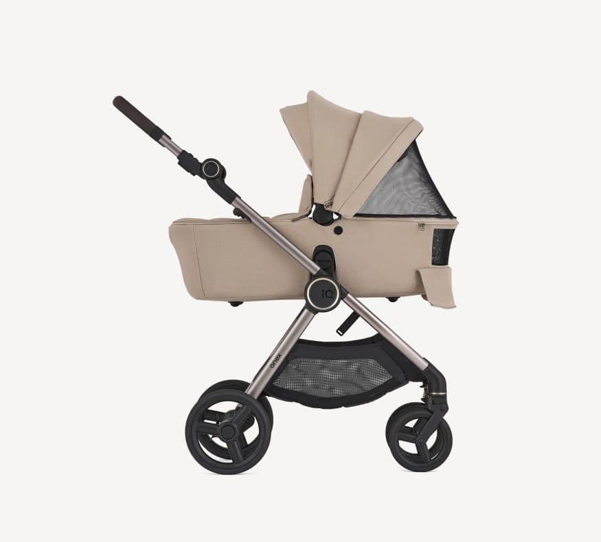 Passeggino 2 in 1 Anex IQ - 3