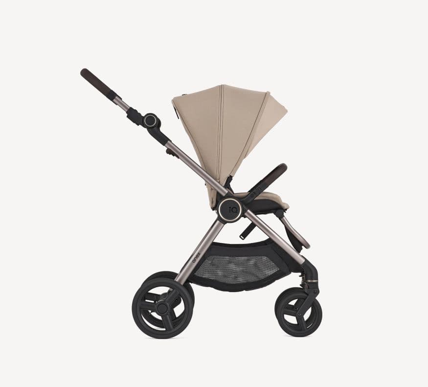 Passeggino 2 in 1 Anex IQ - 6