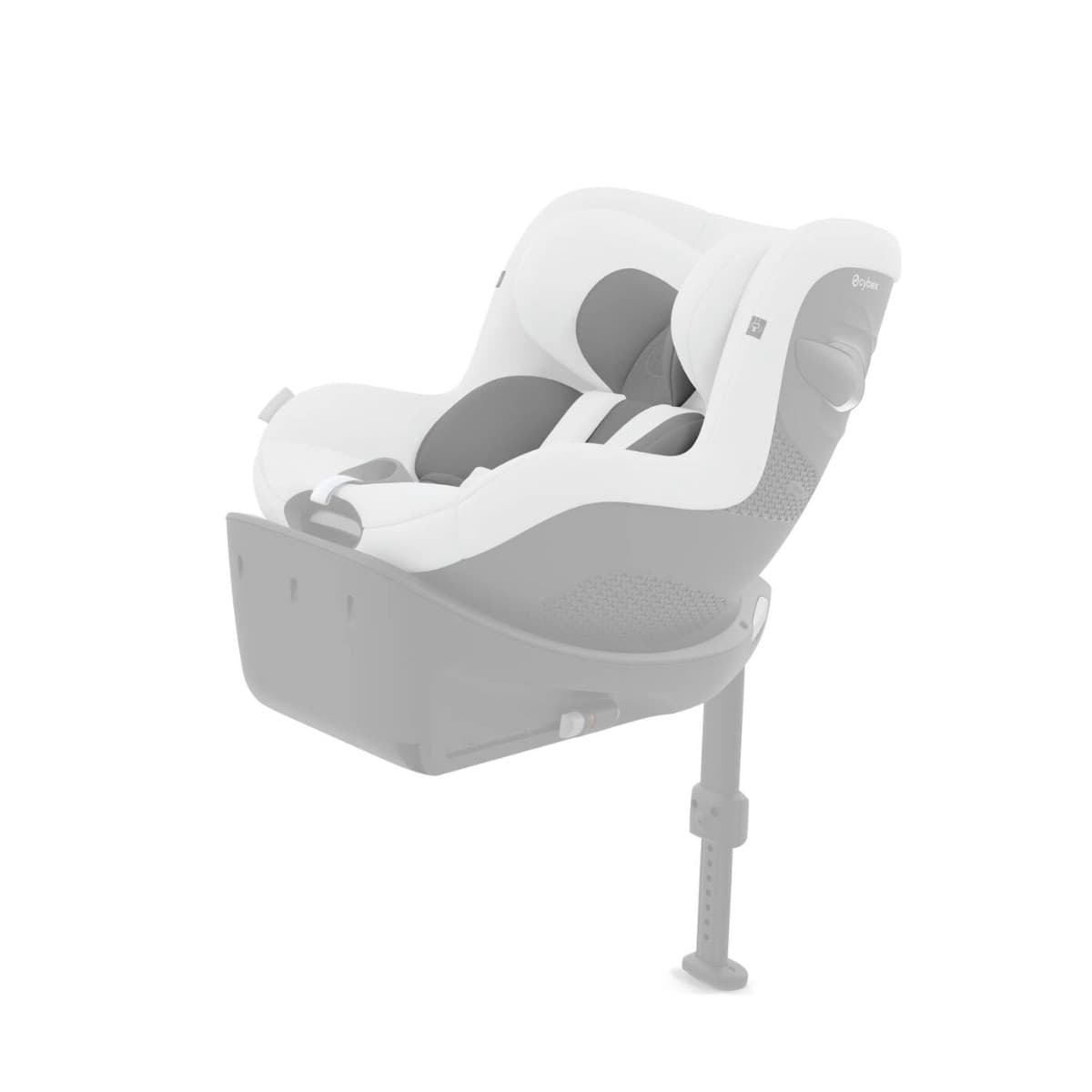 Riduttore Sirona G Cybex Gold 2025 - 2