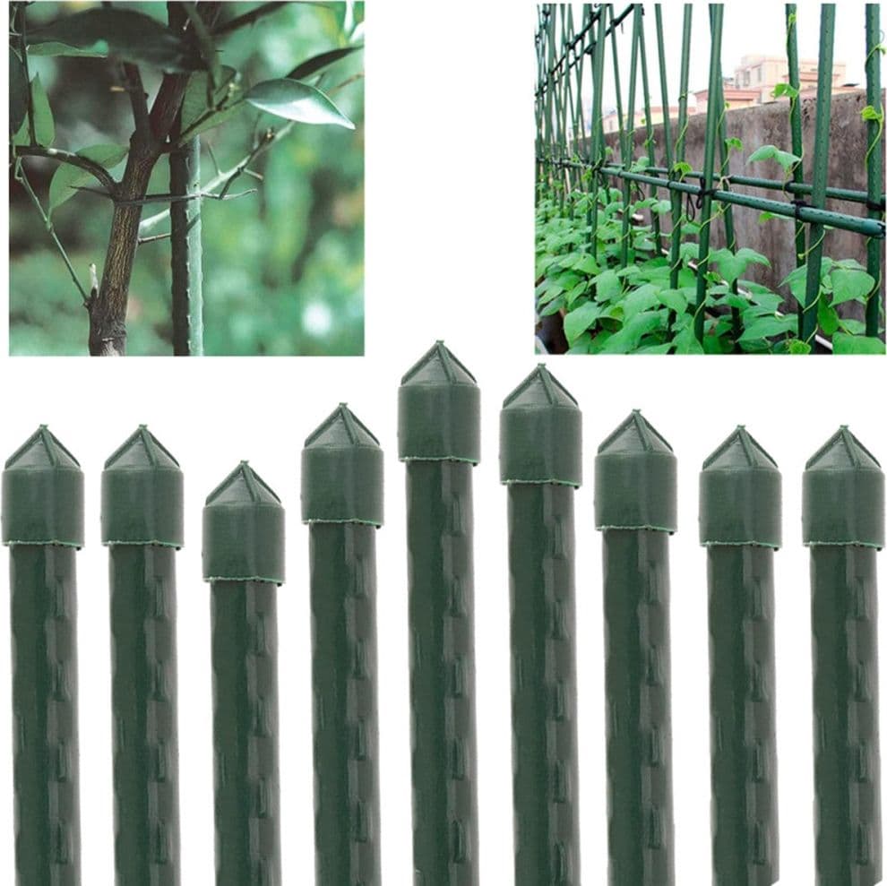 SET 25 PALI TUTORI CANNA PER SOSTEGNO PIANTE RAMPICANTI POMODORI H120CM Ø11MM GRN19 013189