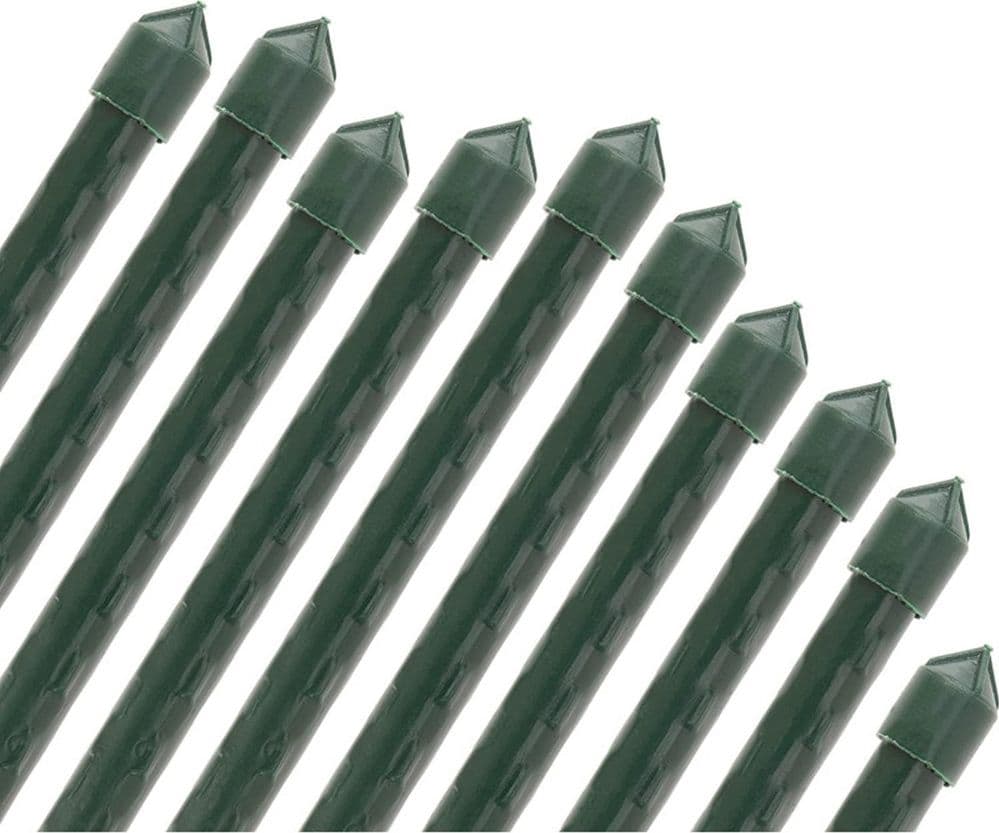 SET 25 PALI TUTORI CANNA PER SOSTEGNO PIANTE RAMPICANTI POMODORI H120CM Ø11MM GRN19 013189 - 11