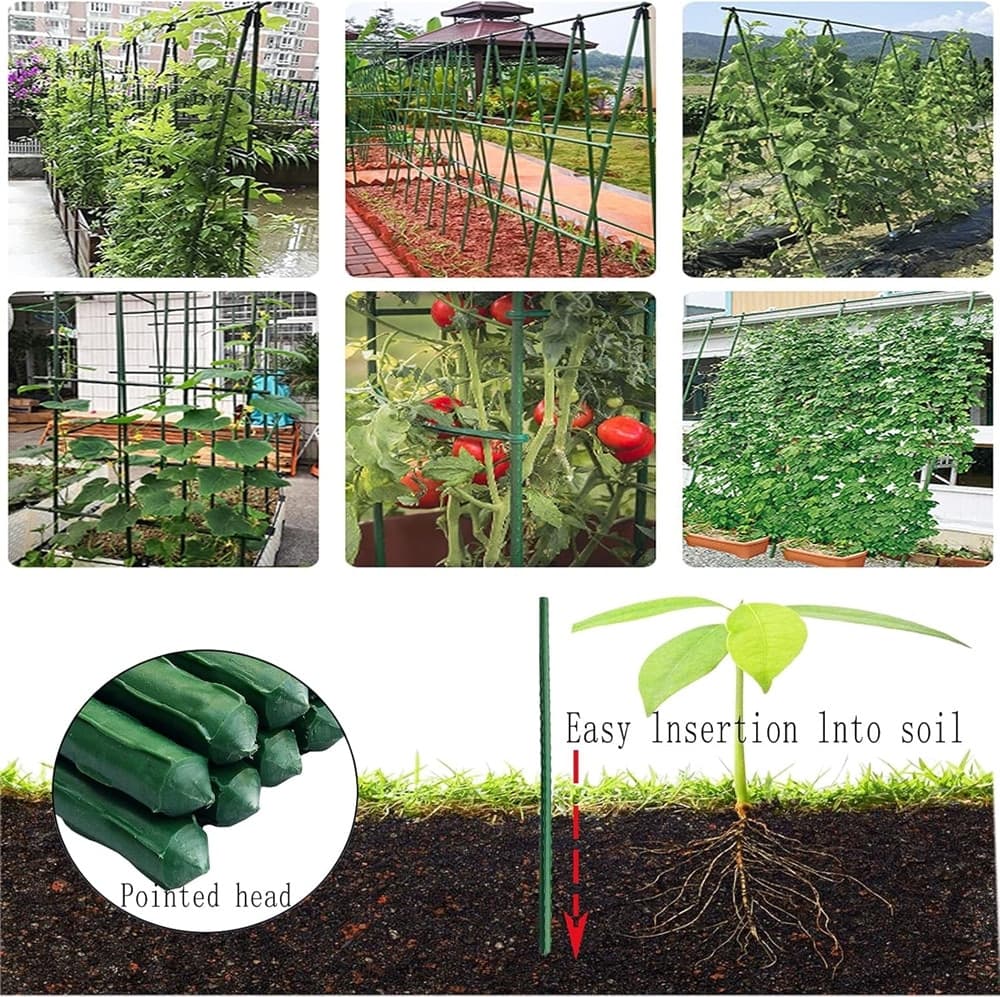 SET 25 PALI TUTORI CANNA PER SOSTEGNO PIANTE RAMPICANTI POMODORI H120CM Ø11MM GRN19 013189 - 6