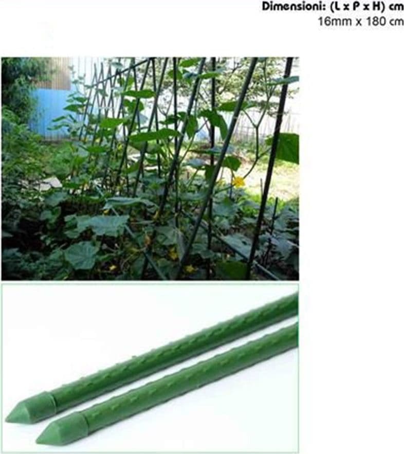 SET 25 PALI TUTORI CANNA PER SOSTEGNO PIANTE RAMPICANTI POMODORI H180CM Ø16MM GRN21 013196 - 3