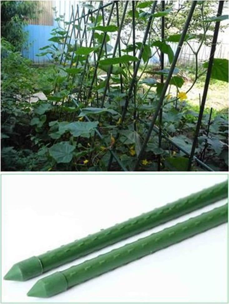 SET 25 PALI TUTORI CANNA PER SOSTEGNO PIANTE RAMPICANTI POMODORI H60CM Ø8MM GRN02 163860A - 5