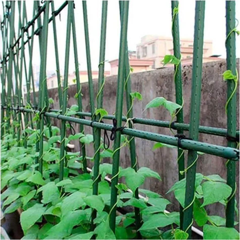 SET 25 PALI TUTORI CANNA PER SOSTEGNO PIANTE RAMPICANTI POMODORI H90CM Ø11MM GRN18 787653 - 11