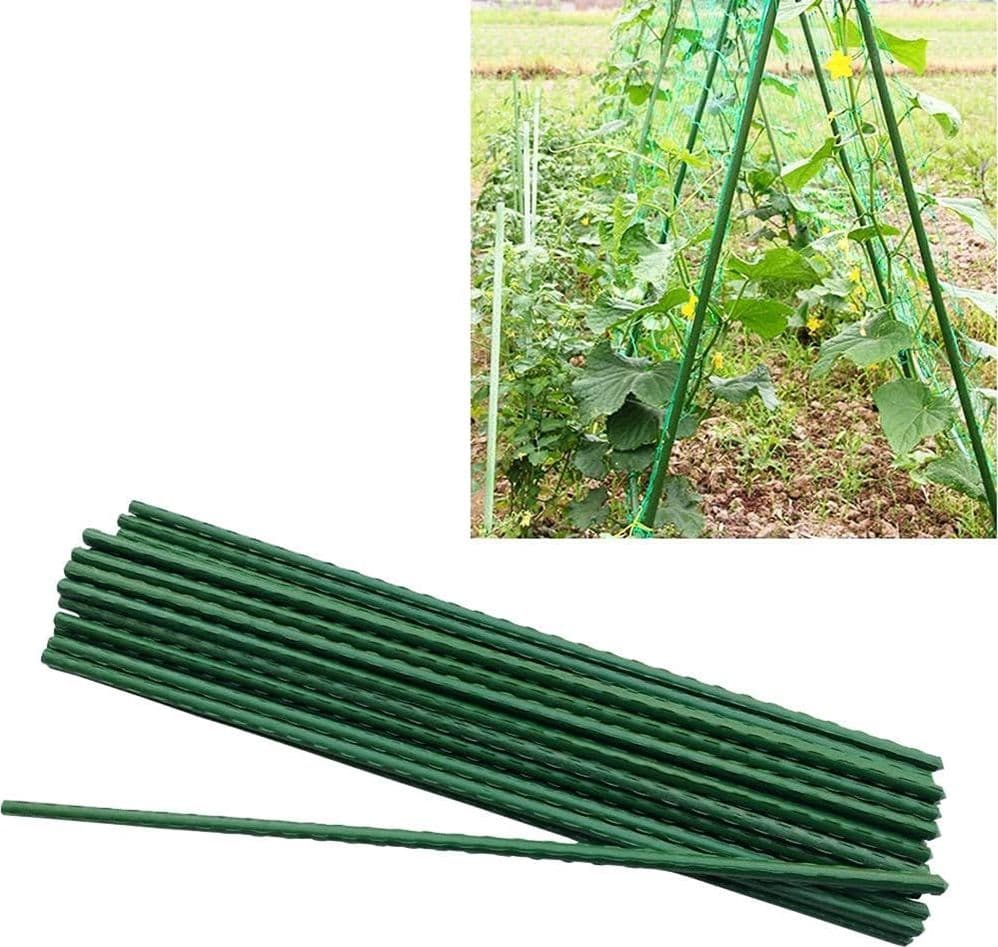 SET 25 PALI TUTORI CANNA PER SOSTEGNO PIANTE RAMPICANTI POMODORI H90CM Ø11MM GRN18 787653 - 5