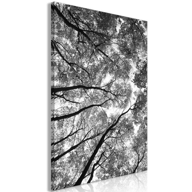 Quadro  High Trees (1 Part) Vertical - 6