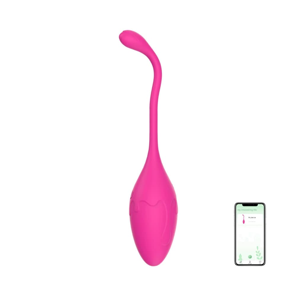 Ovetto Vibrante con App Vibratore Vaginale Indossabile Sex Toy per Coppia USB