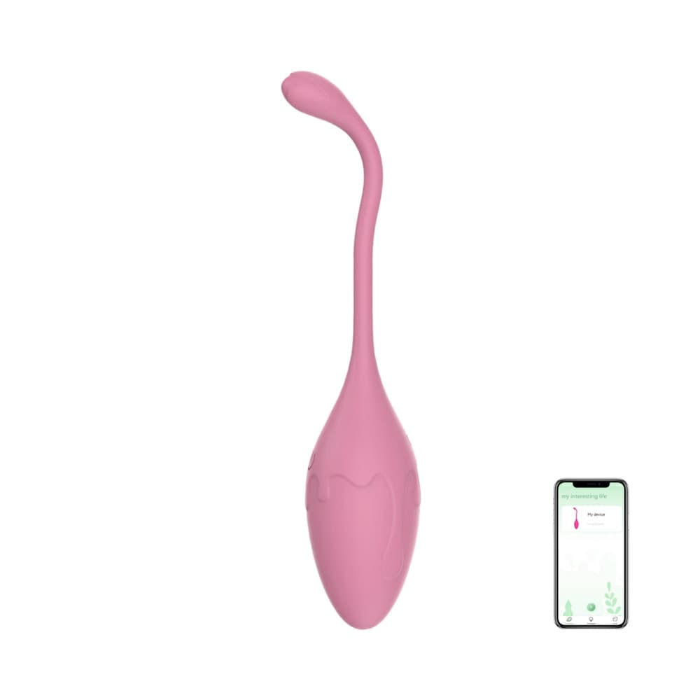 Ovetto Vibrante con App Vibratore Vaginale Indossabile Sex Toy per Coppia USB - 10