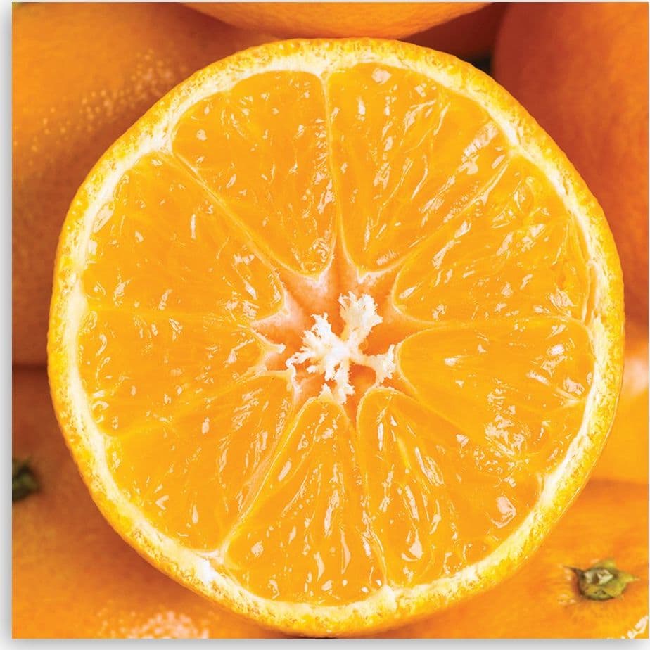 Quadro su tela, Macro arancione - 3