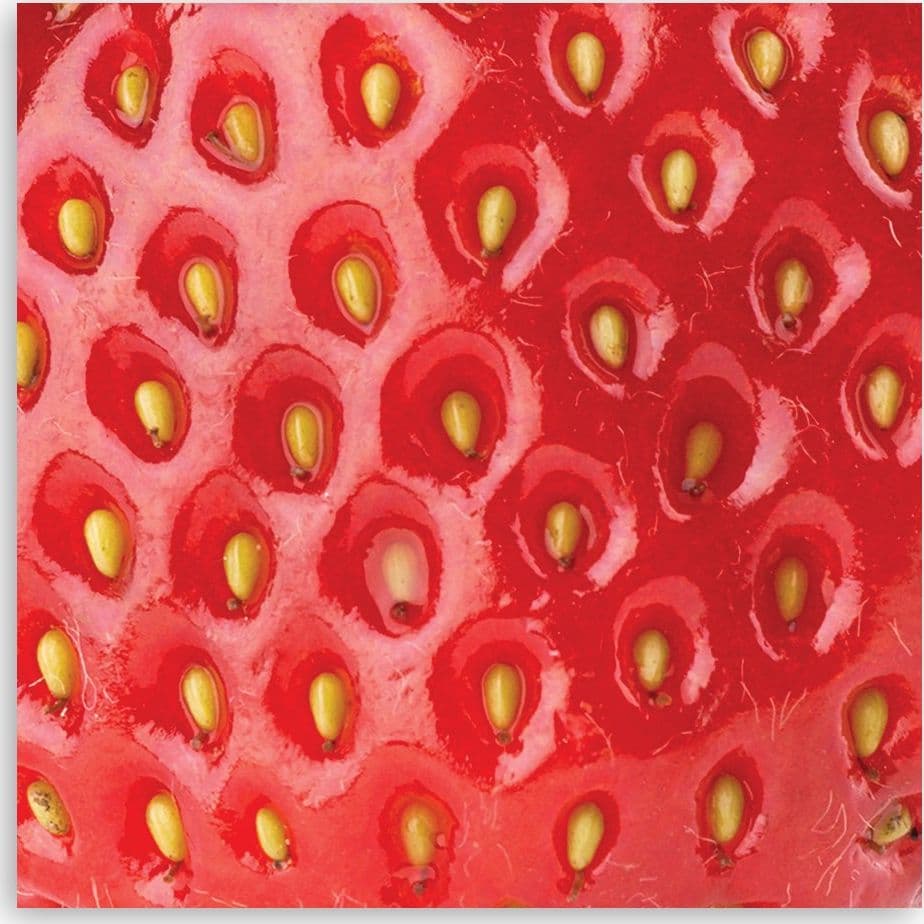 Quadro su tela, Macro fragola - 3