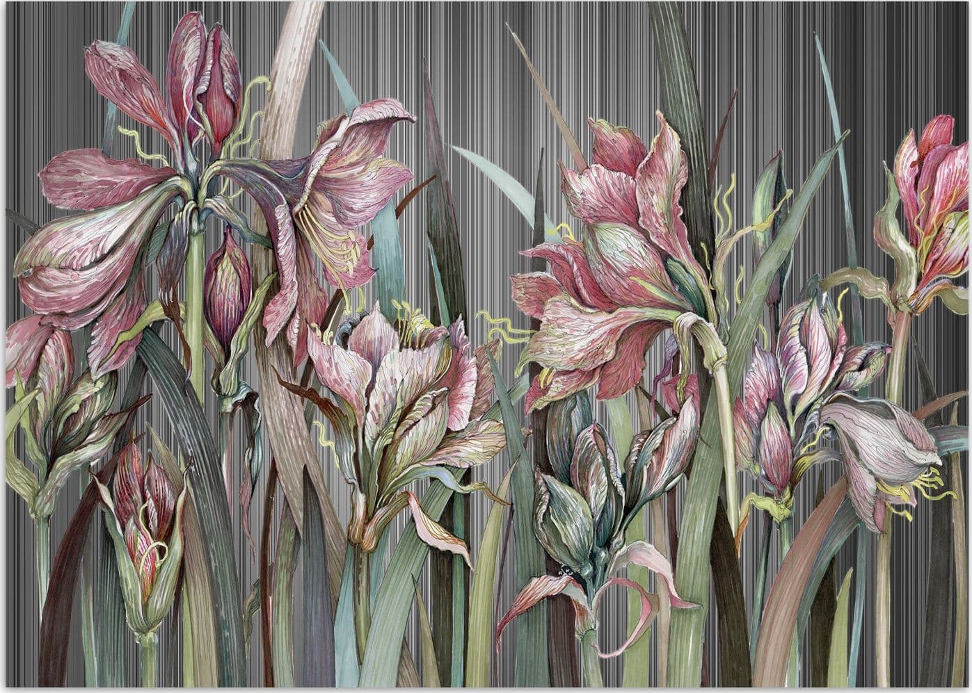 Carta Da Parati, Delicati fiori di iris Piante della natura - 3