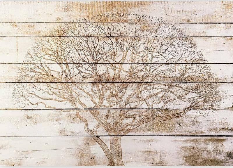 Carta da parati - Tree on Boards - 5