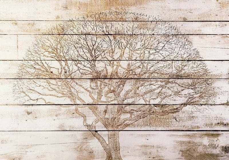 Carta da parati - Tree on Boards - 6