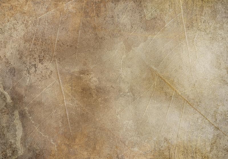 Carta da parati - Golden Leaves of Time - 6