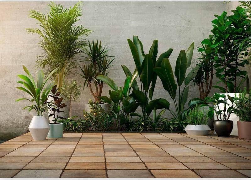 Carta da parati - Home Garden - 4