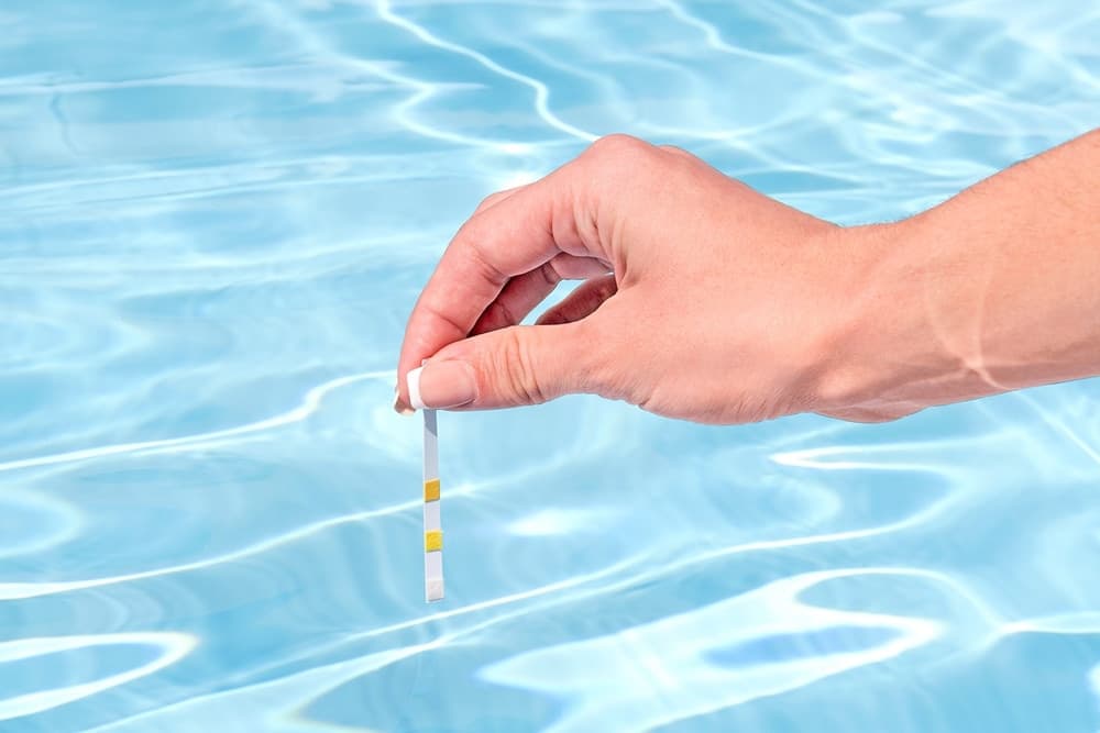 KIT COMPLETO PER CURA MANUTENZIONE ACCESSORI PULIZIA PISCINE FUORI TERRA FINO A 396CM 58794 - 6