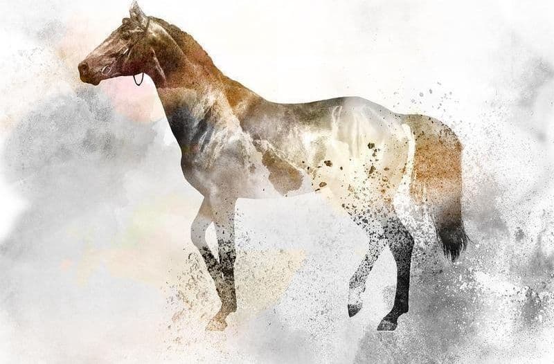 Carta da parati - Fiery Steed - 6