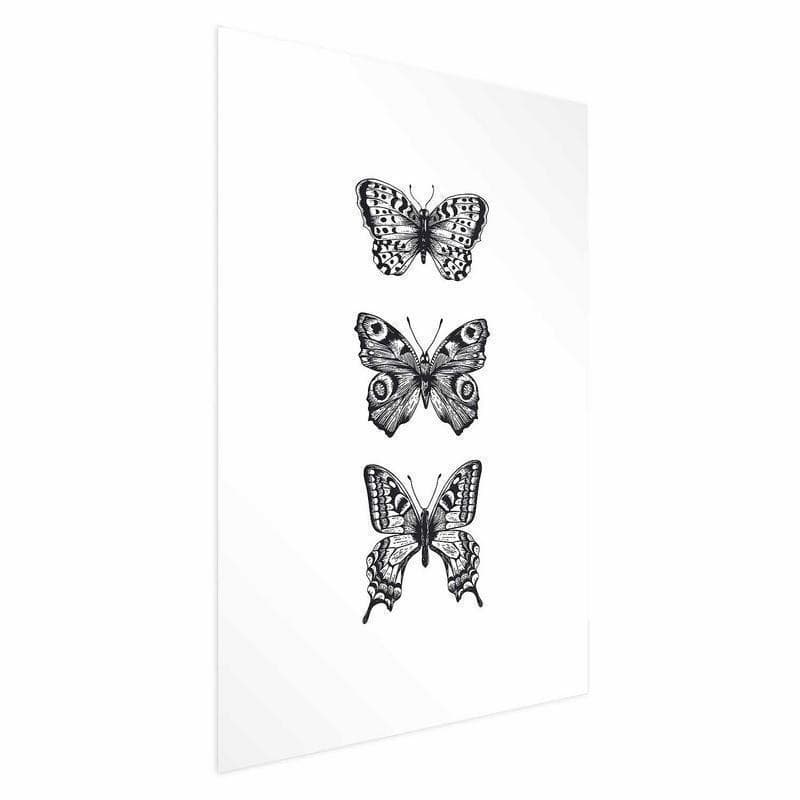 Poster - Three Butterflies - 16