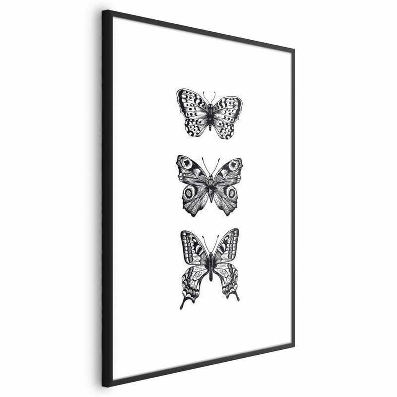 Poster - Three Butterflies - 20