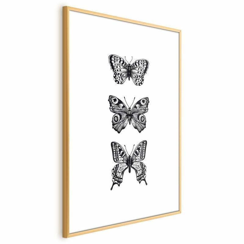Poster - Three Butterflies - 19
