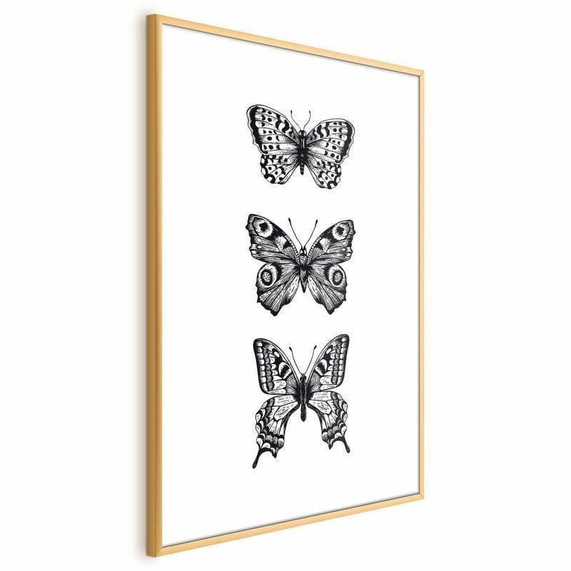 Poster - Three Butterflies - 18