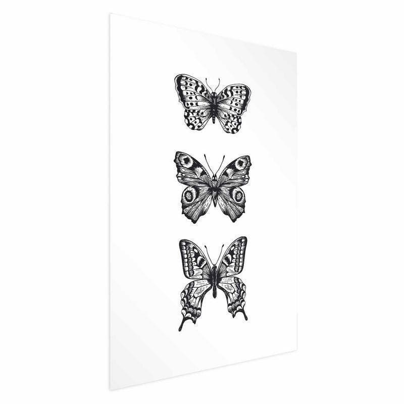 Poster - Three Butterflies - 15