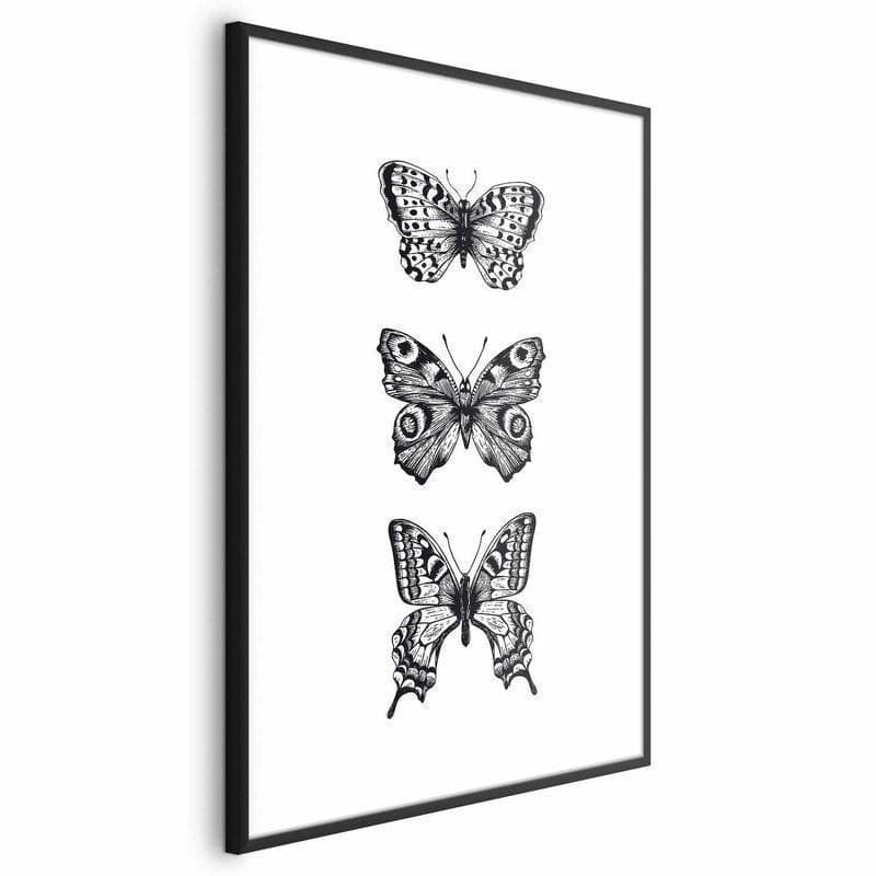 Poster - Three Butterflies - 2
