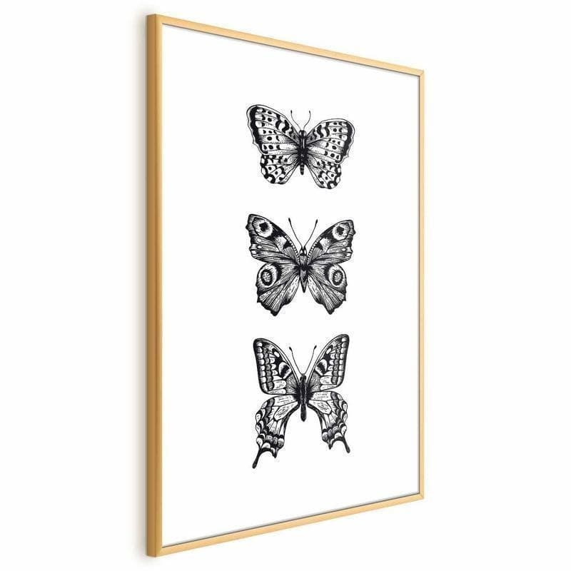 Poster - Three Butterflies - 3