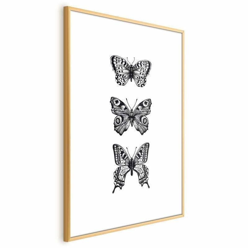 Poster - Three Butterflies - 4