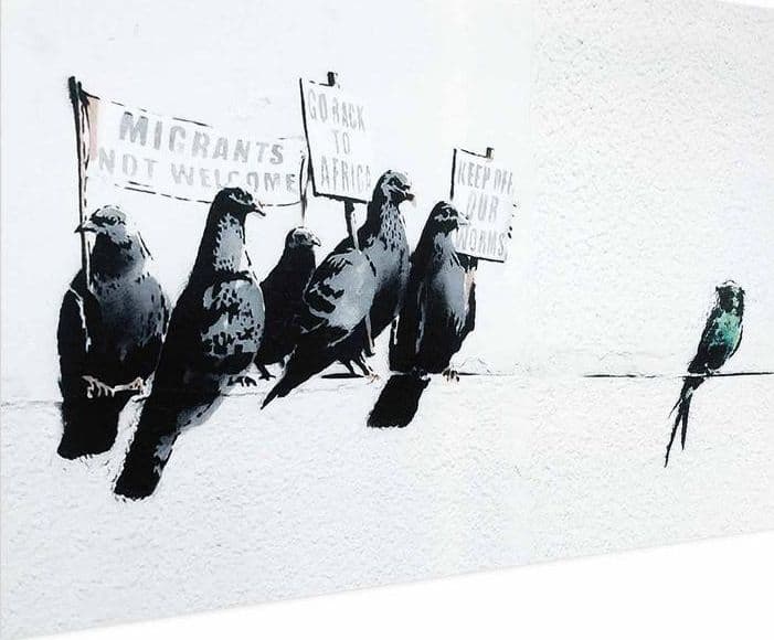Poster - Xenophobic Pigeons